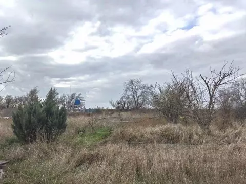 Участок в Ростовская область, Ростов-на-Дону Кумженское СНТ, ул. 6-я ...