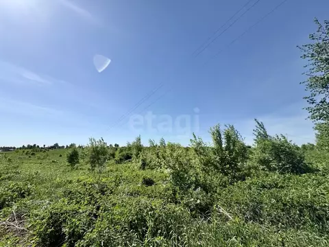 Участок в Марий Эл, Йошкар-Ола городской округ, д. Акшубино ул. ...