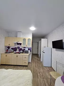 Студия Краснодарский край, Сочи ул. Гастелло, 27Бк1 (30.0 м)