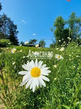 Участок в Ленинградская область, Приозерский район, Громовское с/пос, ...
