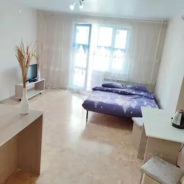 Студия Красноярский край, Красноярск ул. Шевченко, 1А (32.0 м)