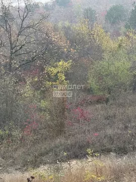 Участок в Краснодарский край, Анапа муниципальный округ, с. Супсех ул. ...