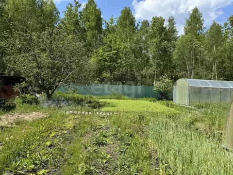 Дом в Брянская область, Сельцо  (40 м)