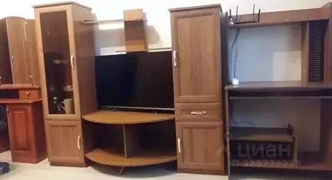 1-к кв. Ленинградская область, Всеволожский район, д. Новое Девяткино ...