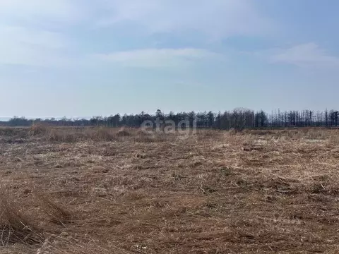 Участок в Сахалинская область, Южно-Сахалинск Лиственничное п/р,  ...