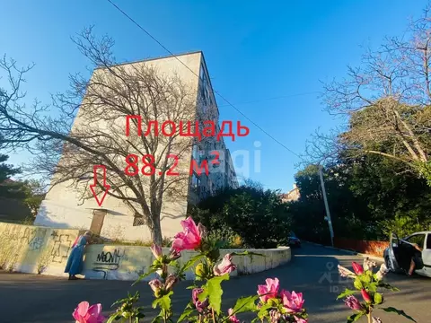 Помещение свободного назначения в Краснодарский край, Геленджик ...