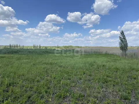 Участок в Ростовская область, Неклиновский район, Самбекское с/пос, ...