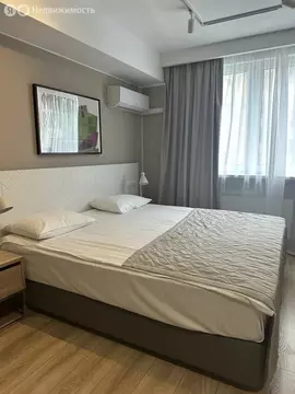 Квартира-студия: Санкт-Петербург, Заозёрная улица, 3к3 (23.7 м)