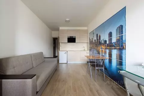 Студия Санкт-Петербург просп. Ветеранов, 175к4 (24.8 м)