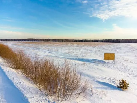 Участок в Тюменская область, Тюменский муниципальный округ, с. Кулига  ...