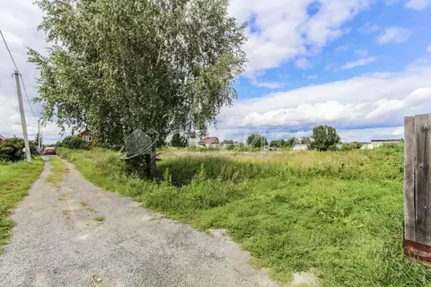 Участок в Тюменская область, Тюмень Царево садовое товарищество, ул. ...