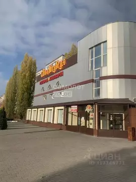 Помещение свободного назначения в Липецкая область, Липецк ул. ...