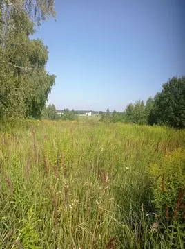 Участок в Брянская область, Брянский район, Добрунское с/пос, д. ...