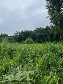 Участок в Приморский край, Артем Родник-1 СНТ, ул. Гагарина (10.0 ...