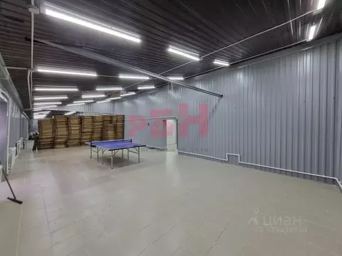 Помещение свободного назначения в Ярославская область, Ярославль ул. ...