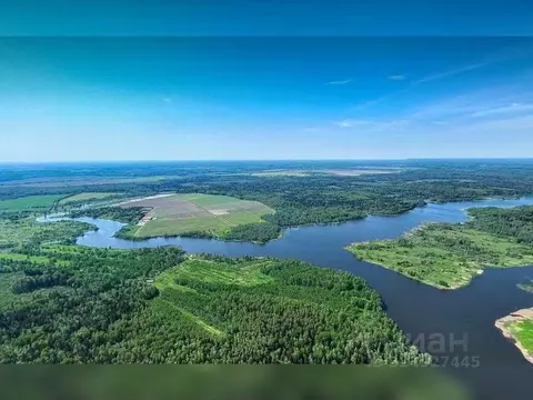 Участок в Московская область, Шаховская муниципальный округ, д. ...