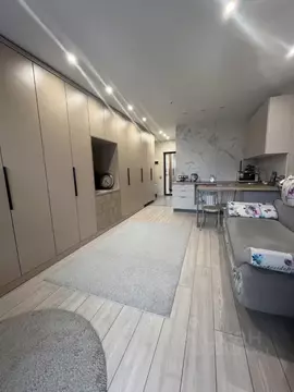 Студия Омская область, Омск ул. Маршала Жукова, 156 (33.0 м)