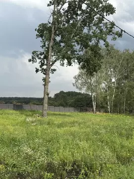 Участок в Московская область, Домодедово КП Данилово Парк тер., 293 ...