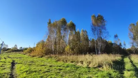 Участок в Московская область, Раменский муниципальный округ, д. ...