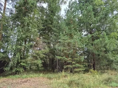 Участок в Курганская область, Кетовский муниципальный округ, пос. ...