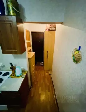 Студия Красноярский край, Красноярск ул. Борисова, 42 (20.0 м)