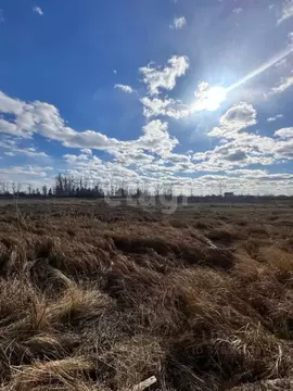 Участок в Амурская область, Благовещенск 5-я Стройка мкр, ул. ...