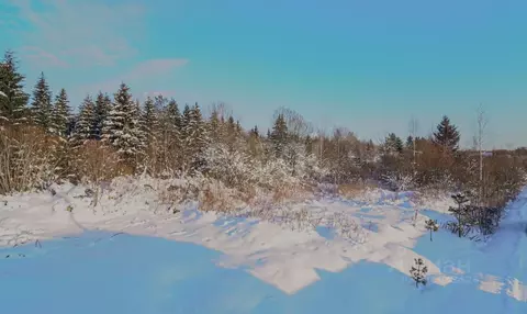 Участок в Ленинградская область, Гатчинский муниципальный округ, ...