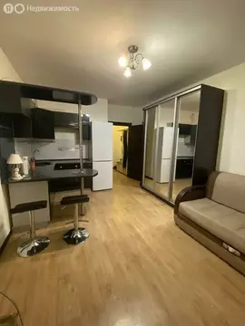 Квартира-студия: Санкт-Петербург, Комендантский проспект, 69 (25 м)