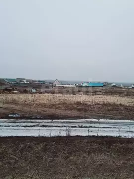 Участок в Саратовская область, Балашовский район, с. Репное ...