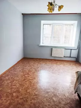 1-к кв. Омская область, Омск пос. Кордный, ул. 3-я Кордная, 10 (38.0 ...