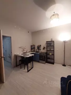 Свободной планировки кв. Пермский край, Пермь ул. Татьяны Барамзиной, ...