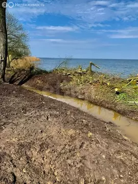 Участок в Калининградская область, Полесский муниципальный округ, ...