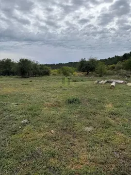 Участок в Бурятия, Кяхтинский район, Хоронхойское с/пос, пос. Хоронхой ...