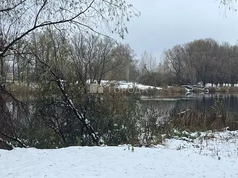 Участок в Новосибирская область, Новосибирский район, Криводановский ...