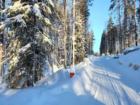 Участок в Ленинградская область, Всеволожский район, Куйвозовское ...