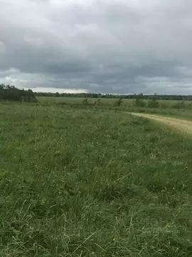 Участок в Ленинградская область, Гатчинский муниципальный округ, д. ...