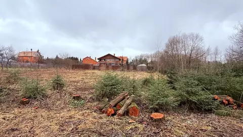 Участок в Московская область, Одинцовский городской округ, д. Митькино ...