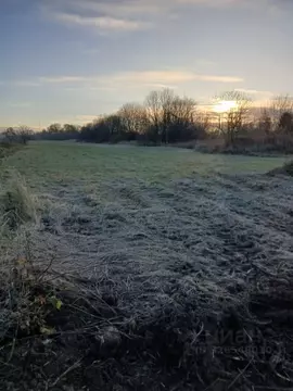 Участок в Калининградская область, Зеленоградский муниципальный округ, ...