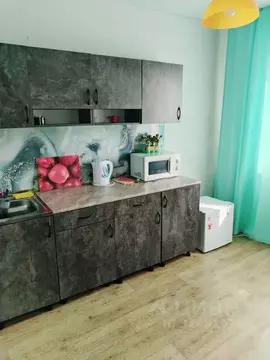 1-к кв. Алтайский край, Барнаул ул. Попова, 194 (35.0 м)