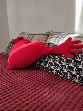 Дом в Ленинградская область, Лужский район, Скребловское с/пос, д. ...