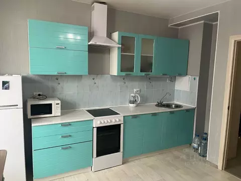 Студия Тюменская область, Тюмень ул. Фармана Салманова, 10 (27.0 м)