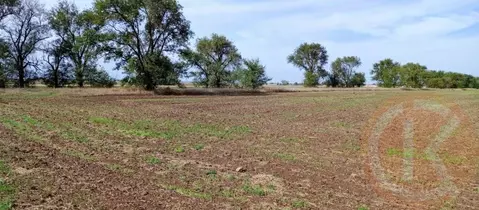 Участок в Крым, Сакский район, с. Добрушино  (132.0 сот.)