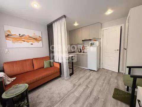 Студия Московская область, Воскресенск Центральный мкр, ул. ...