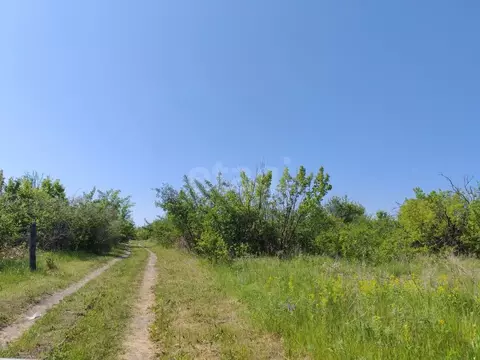 Участок в Воронежская область, Борисоглебск Надежда-3 СНТ, 50 (10.0 ...