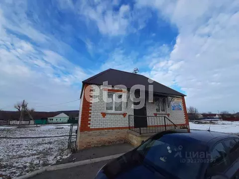 Торговая площадь в Белгородская область, Вейделевка рп ул. ...