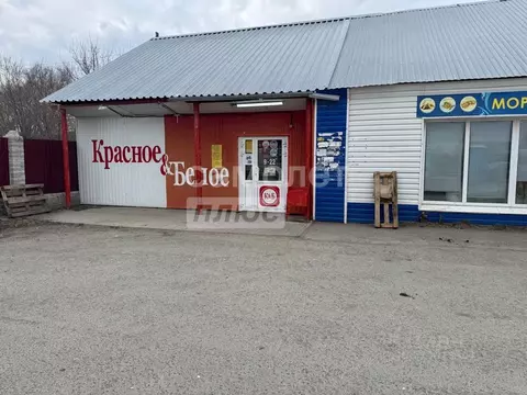 Помещение свободного назначения в Челябинская область, Еткульский ...