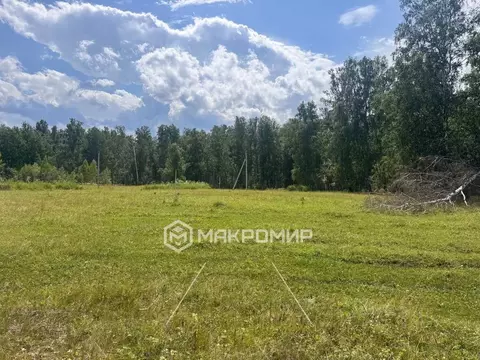 Участок в Челябинская область, Сосновский муниципальный округ, д. ...