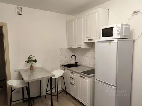 Студия Санкт-Петербург наб. Реки Каменки, 21к1 (20.5 м)