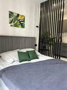 Студия Краснодарский край, Сочи ул. Искры, 88к6 (24.5 м)