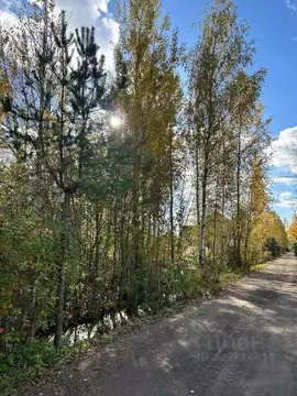 Участок в Санкт-Петербург, Санкт-Петербург, Павловск Павловское-2 СНТ, ...